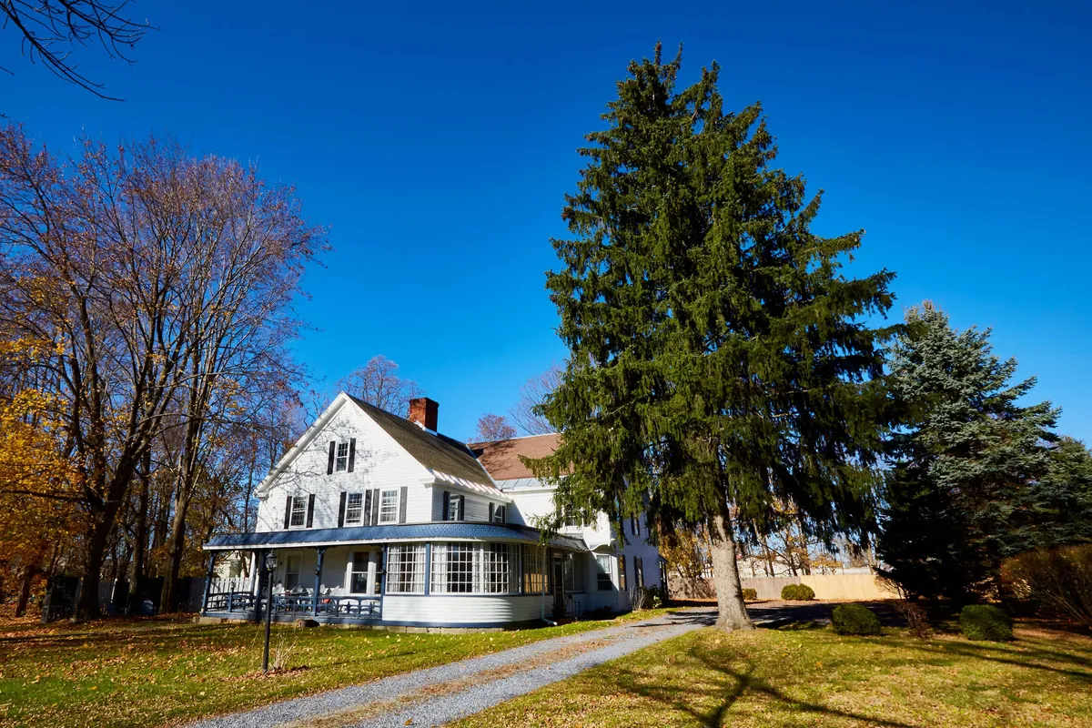 A spacious view of a large white house with a tall evergreen tree and a gravel driveway, evoking a sense of tranquility and classic New England style. The porch and garden areas are visible, suggesting opportunities for relaxation and outdoor gatherings.